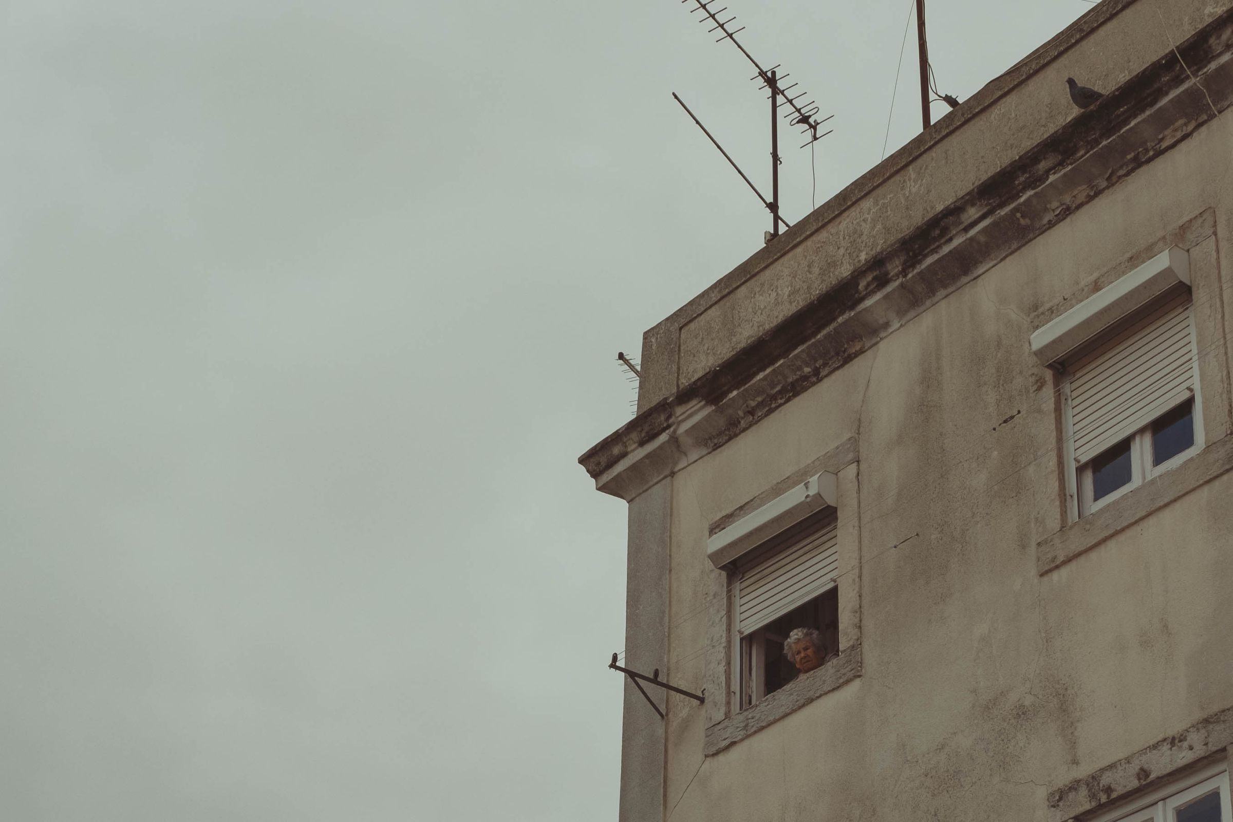 An elderly person peers from a partially raised window shutter on a weathered beige building, television antennas and power lines visible on the roofline above. The muted scene captures quiet observation from inside against the pale overcast sky.