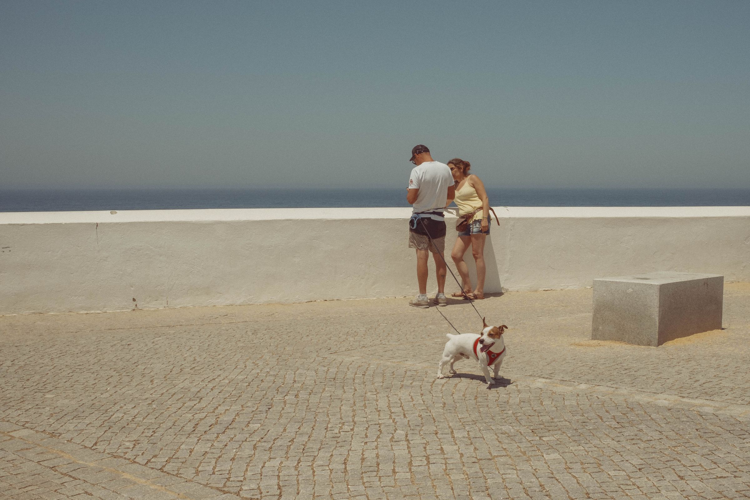 Alt text: A couple stands on a vast empty plaza overlooking the Atlantic, their small white dog on a leash exploring the cobblestones ahead of them. The misty ocean horizon stretches endlessly beneath an overcast sky, with minimal elements punctuating the minimalist coastal scene.