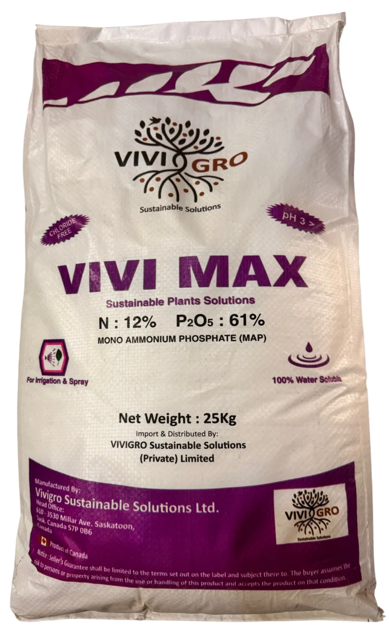 VIVI MAX MONO AMMONIUM PHOSPHATE