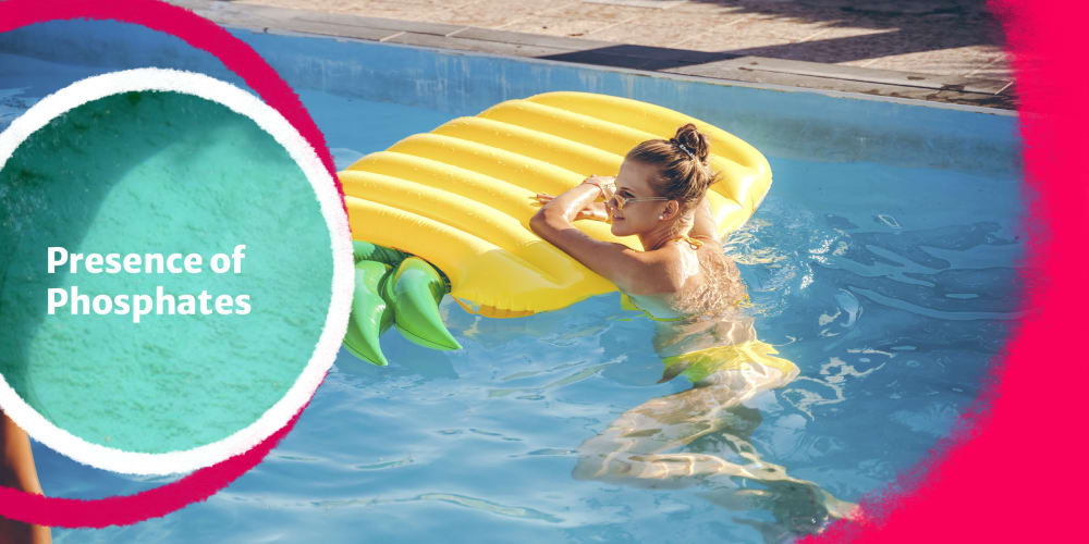 Algae in pool water, solution, ALG OUT Summer Smiles