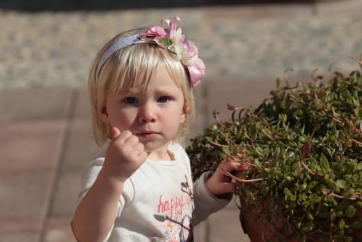 Photo from a family photoshoot