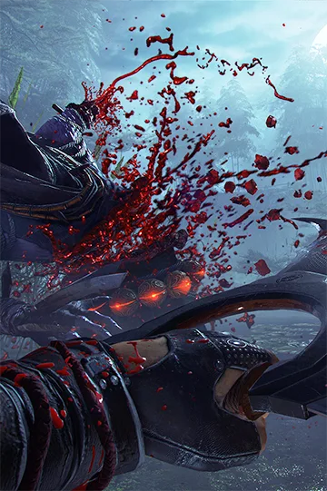 Shadow Warrior 2: The Big Wang Collector's Edition Packs a Punch -  MonsterVine