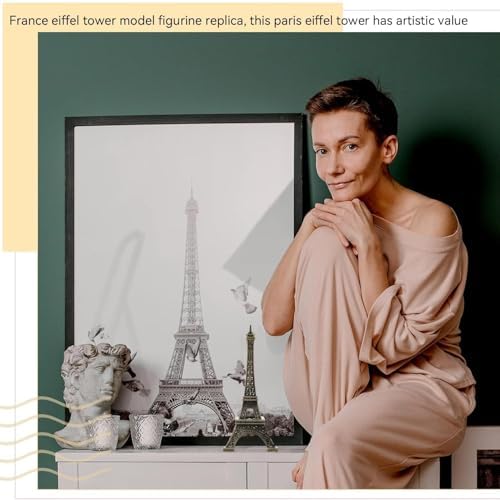 Vue 6 de Cyrank Tour Eiffel Statue