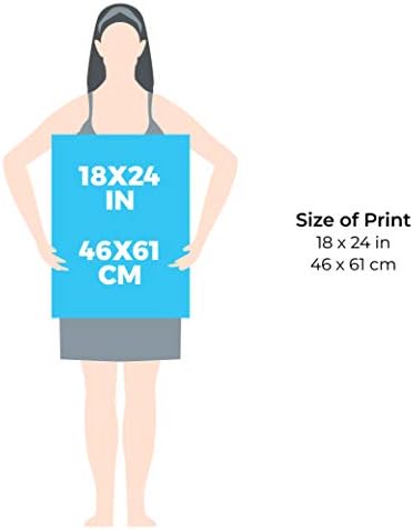 Vue 3 de Wee Blue Coo Robelin