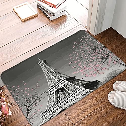 Vue 2 de Aseelo Paillasson Antiderapant Tour