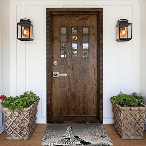 Vue 5 de Aseelo Paillasson Antiderapant Tour