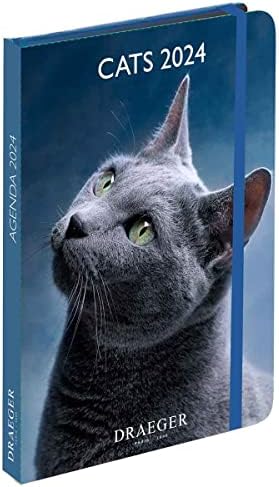 Vue 2 de Draeger Paris Agenda De