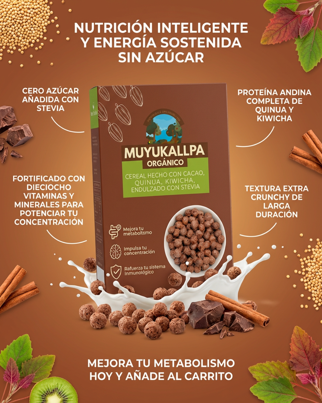Vista 2