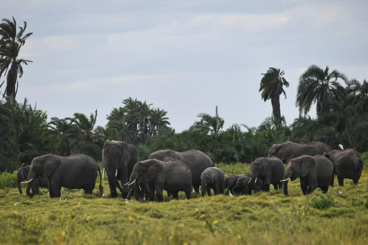 12 Days Tanzania Northern Circuit Safari & Zanzibar Beach Holiday