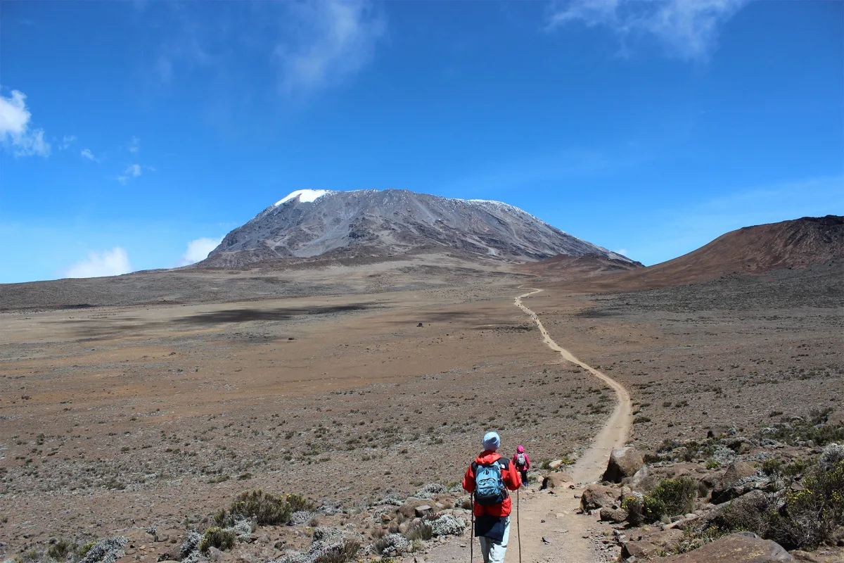 6 Days Marangu Route Climb – Trek Mount Kilimanjaro via the “Coca-Cola Route”