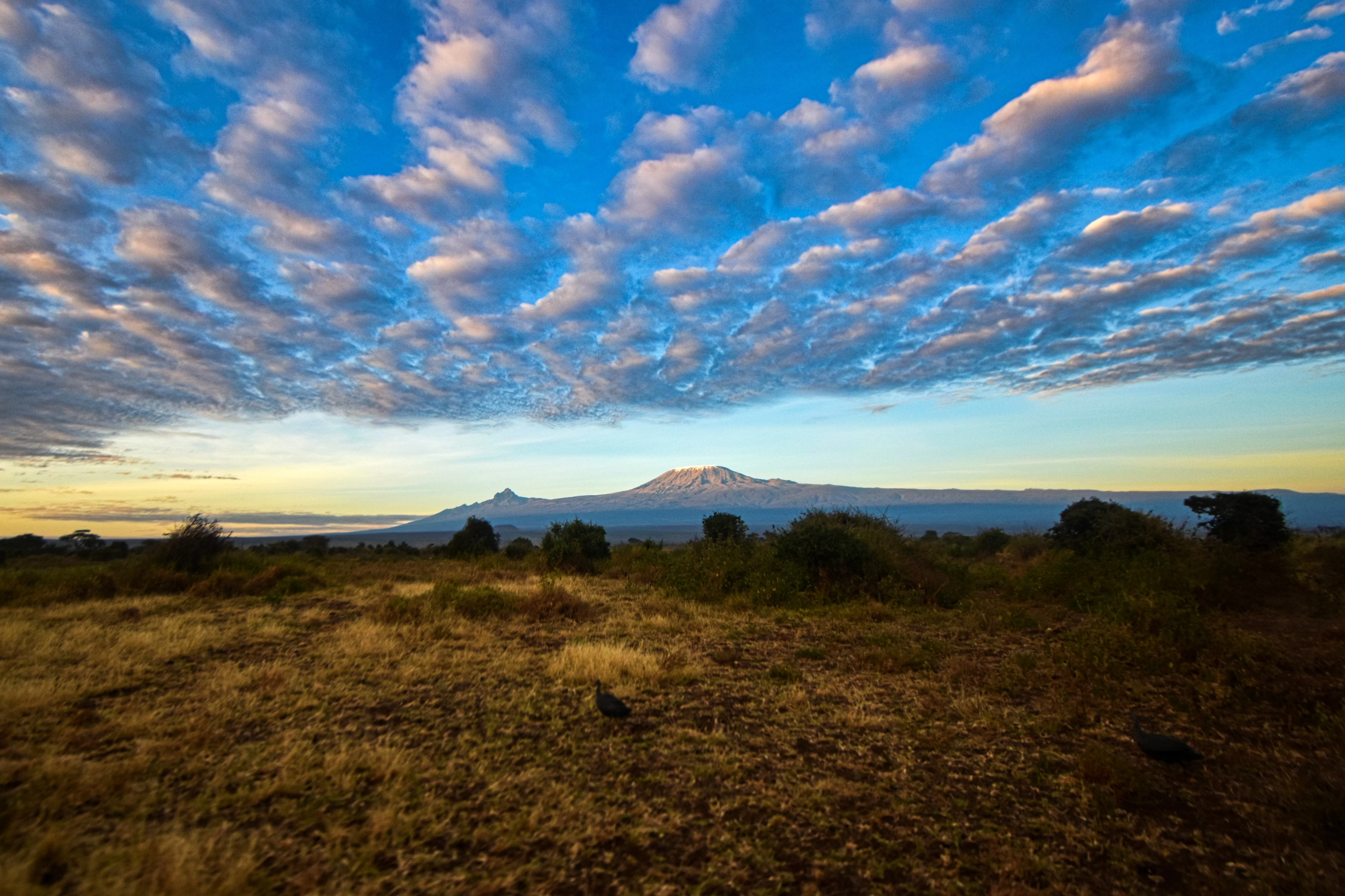 6 Days Lemosho Route Climb