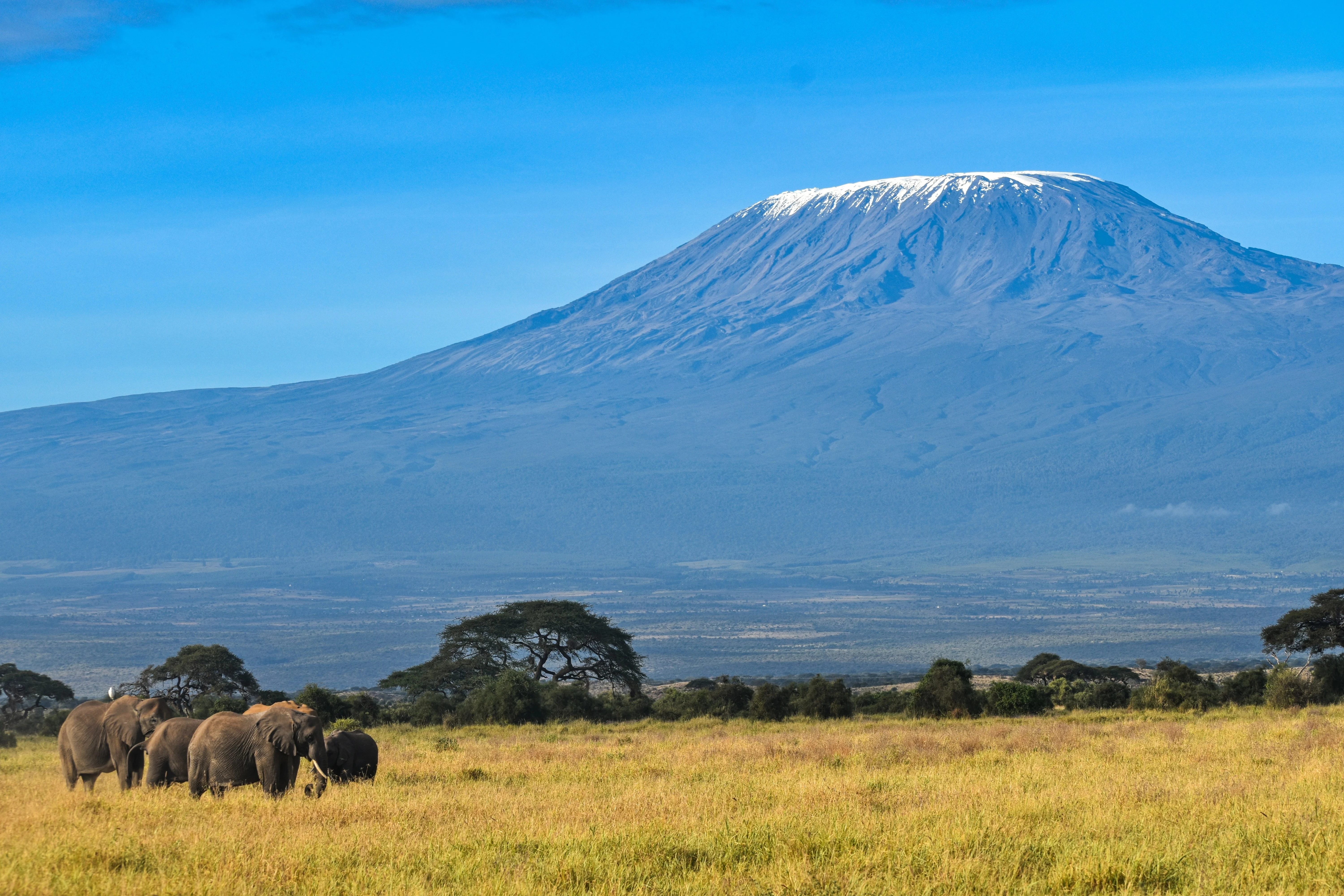 3 Days Amboseli National Park Safari