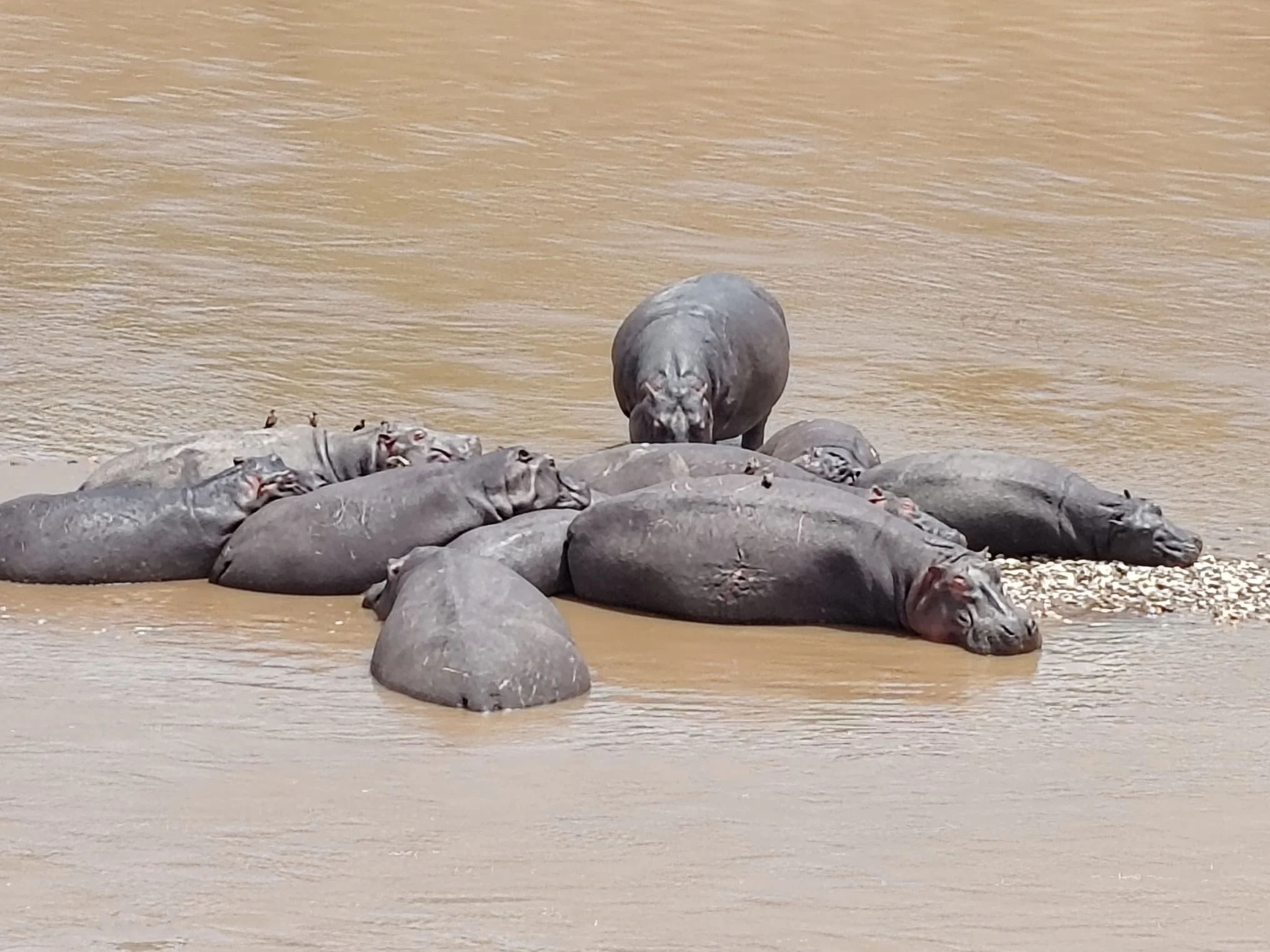 04 Days Lake Manyara, Serengeti & Ngorongoro Crater Tanzania Safari