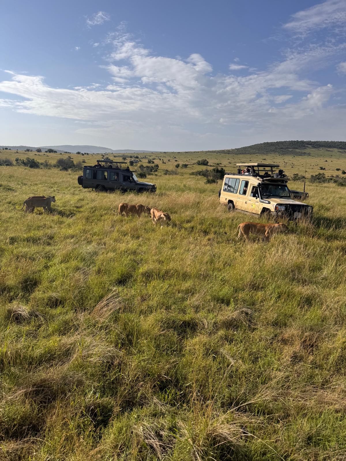 VIP corporate retreats and luxury team building