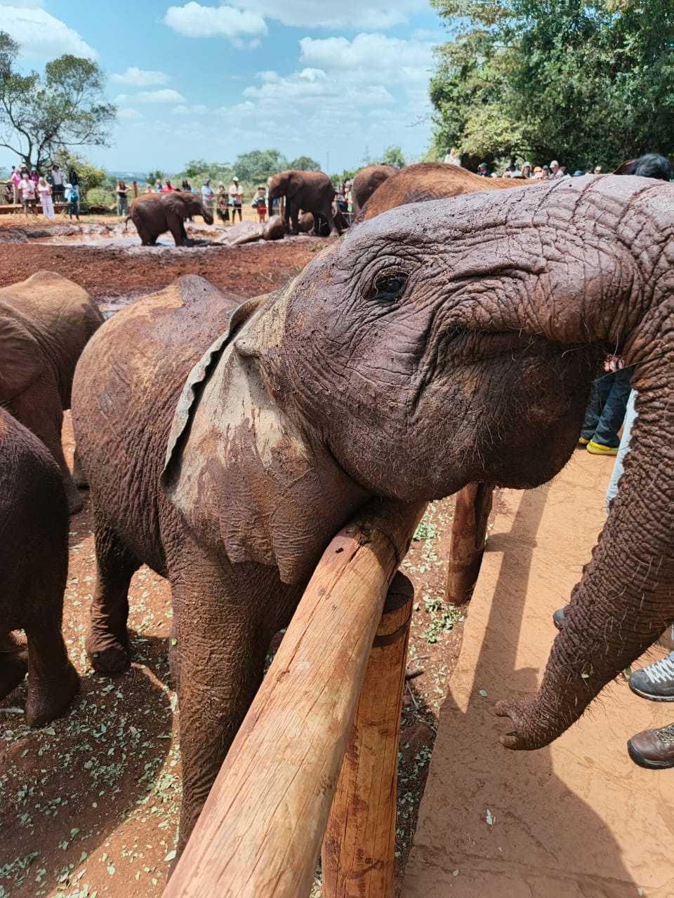 Exclusive cultural experiences and private tours