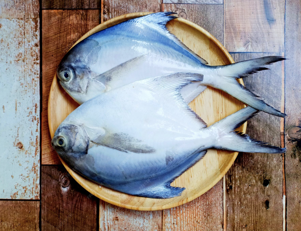 Pomfret