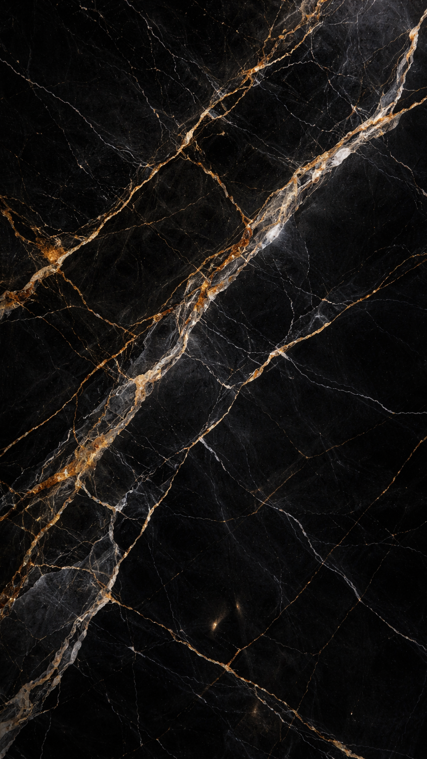 Polished Black Marble with Golden Veins