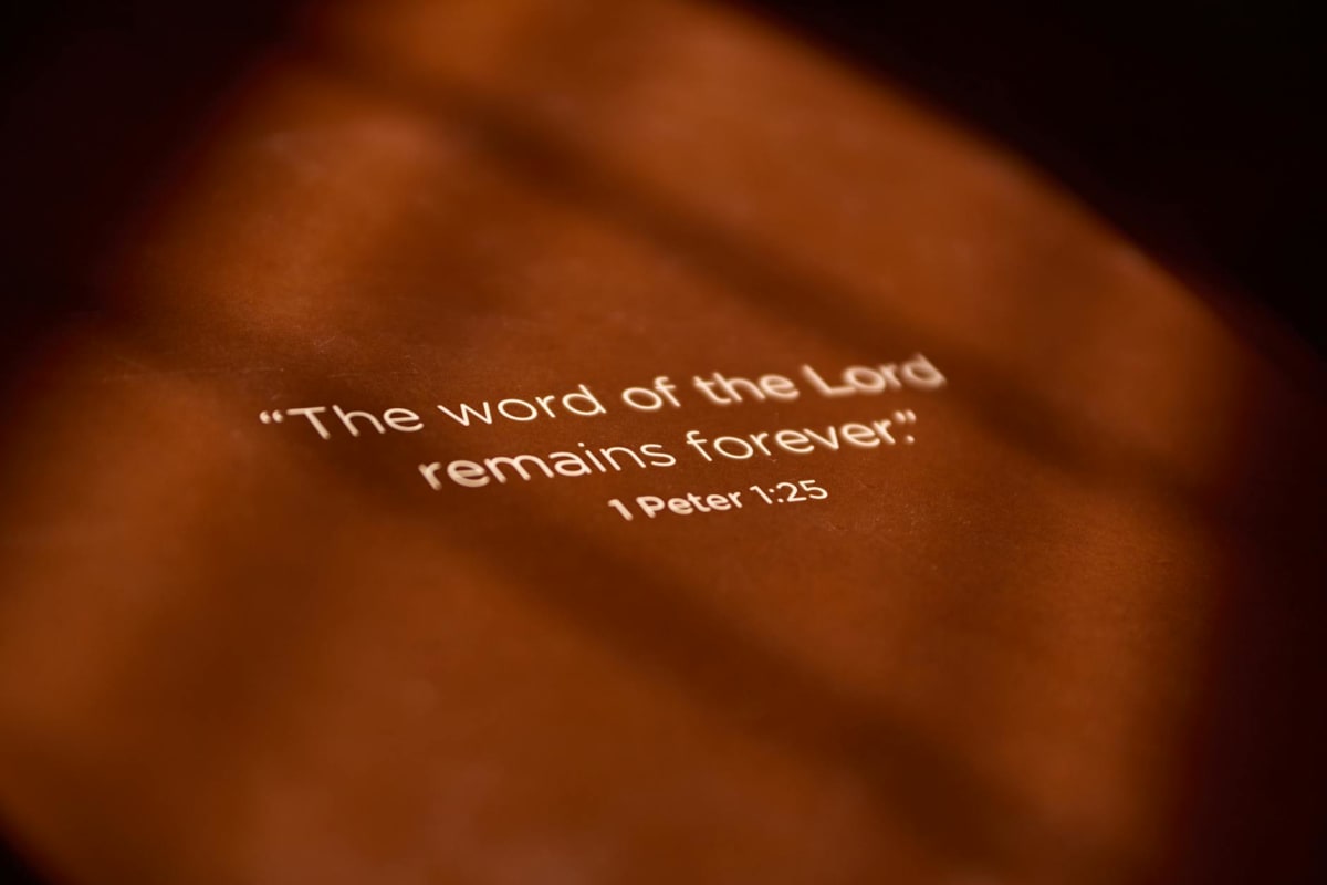 Easter: The power of a new beginning