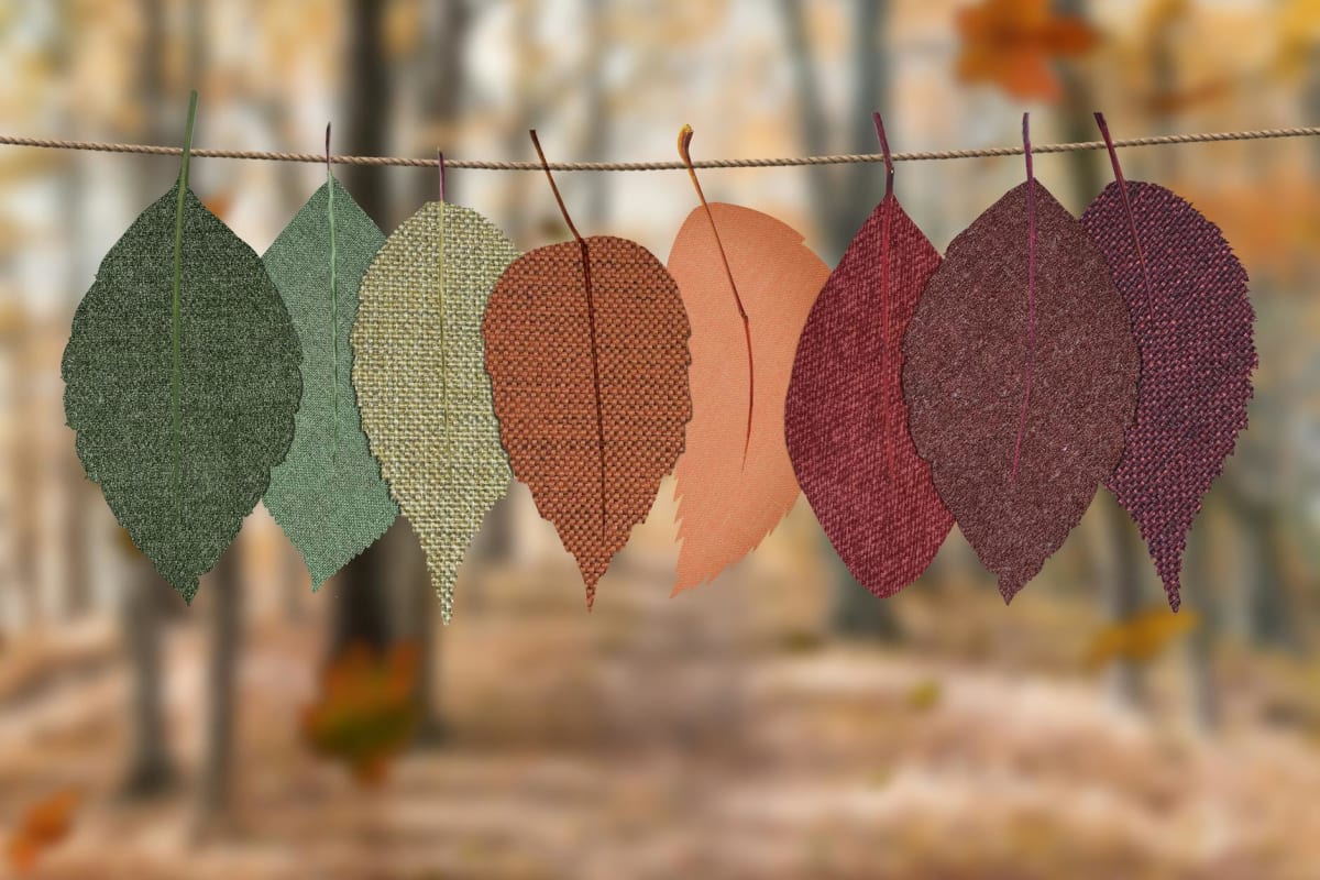 Seasons of life: What season are you in?