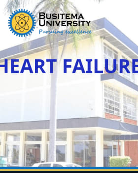 Heart Failure: Pathophysiology and Management cover