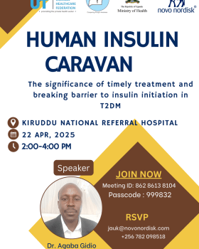 Insulin Initiation in Type 2 Diabetes cover