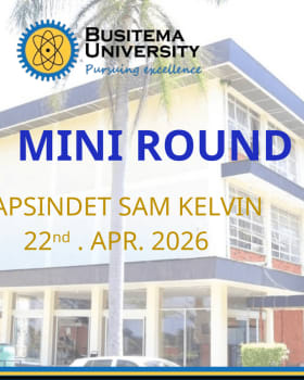 MINI ROUND APR cover