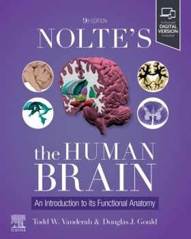 NOLTE’s the Human Brain An Introduction to its Functional Anatomy cover