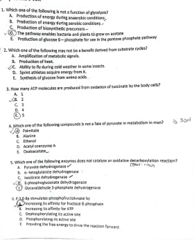 biochem II David lufafa cover
