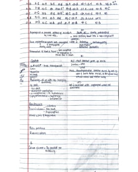 Paper 7 cover