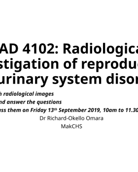 RAD 4102: Radiological investigation of reproductive and urinary system disorders cover