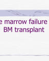 Bone Marrow Failure and Transplantation cover