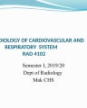 Radiology of Cardiovascular and Respiratory Systems cover