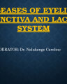 Diseases of Eyelids, Conjunctiva and Lacrimal System cover