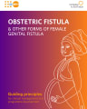 Obstetric Fistula: Guiding Principles for Clinical Management cover