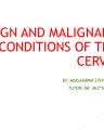 Benign and Malignant Cervical Conditions cover