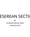 Caesarean Section Overview cover