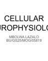 CELLULAR NEUROPHYSIOLOGY cover