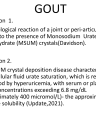 Gout: Pathophysiology, Clinical Features, and Management cover