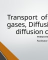 Gas Transport and Diffusion in Blood cover