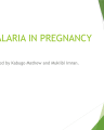 Malaria in Pregnancy: Risks, Management, and Prevention cover