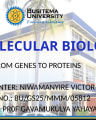 Molecular Biology: From Genes to Proteins cover
