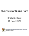 Overview of Burns Care cover