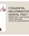 CONGENITAL MALFORMATIONS OF GENITAL TRACT cover