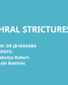 URETHRAL STRICTURES cover