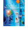 Clinical Neuroanatomy 7th Edition - Richard Snell cover