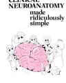 Clinical Neuroanatomy made ridiculously simple cover