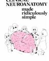 Clinical Neuroanatomy Made Ridiculously Simple 5th Edition cover