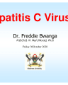 HEPATITIS C VIRUSES cover