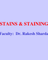 SIMPLE STAINING cover