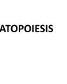 HEAMATOPOIESIS cover